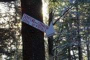 81 Prendo a dx la variante difficile Sentiero partigiano della Cornabusa 
